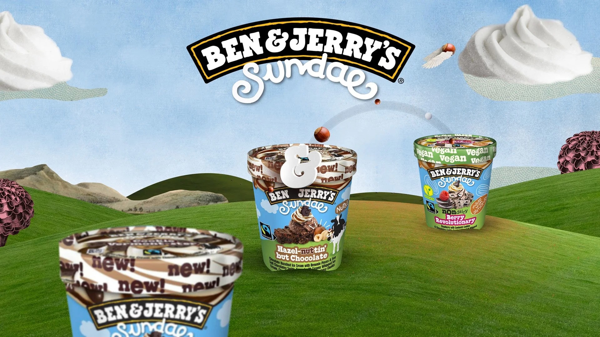 Ben & Jerry's pitch view 1