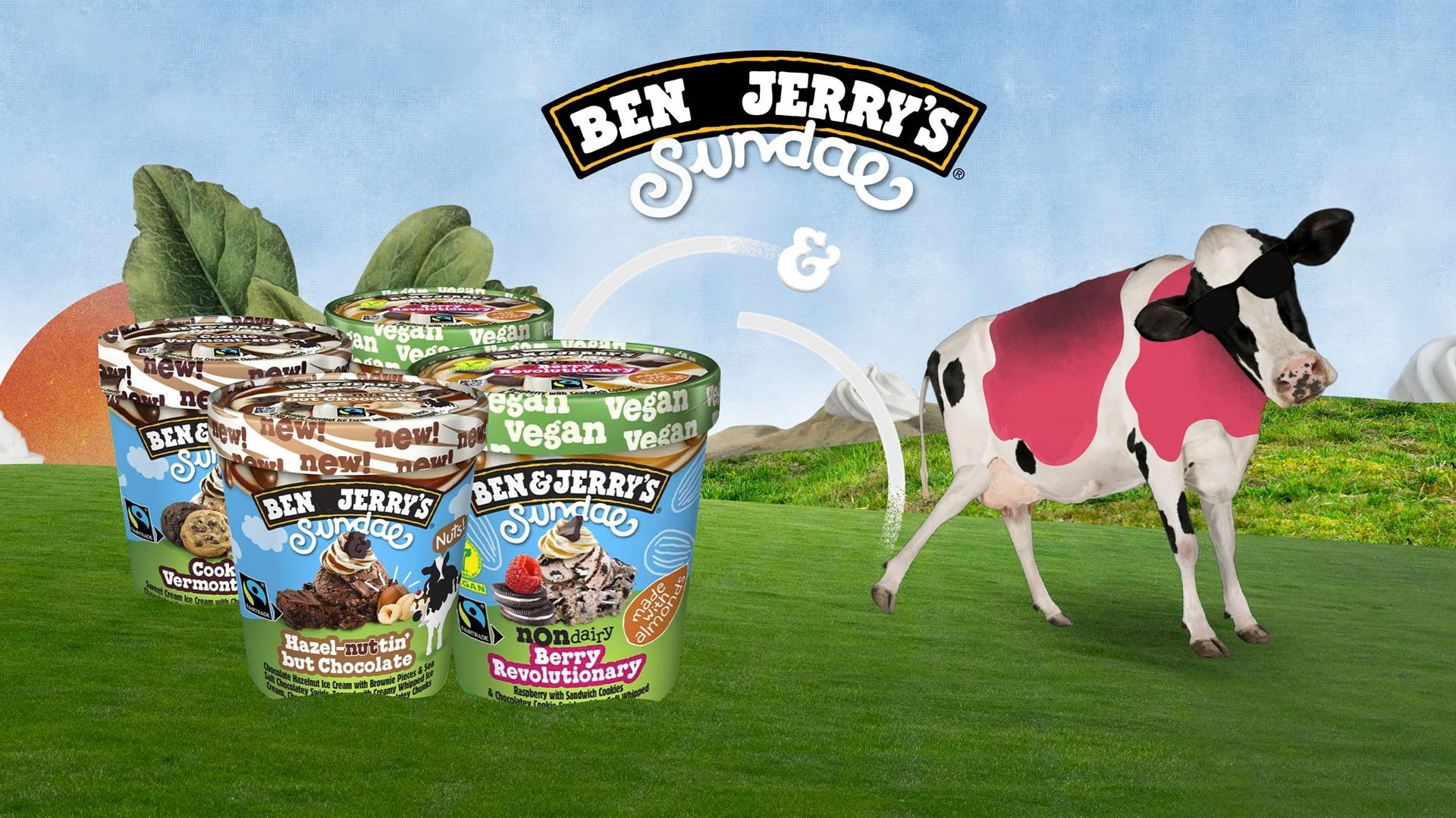 Ben & Jerry's pitch view 6