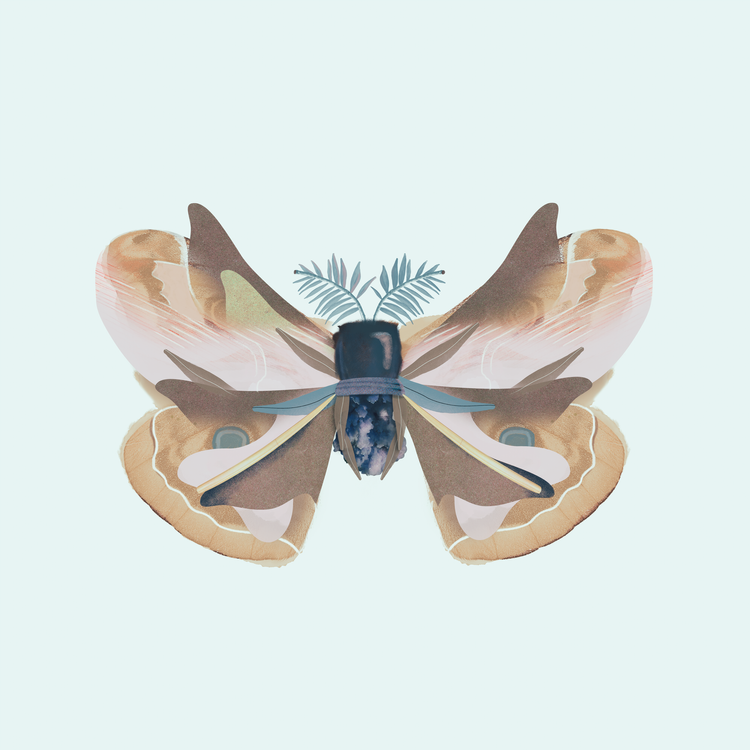 Digital Collages view 3