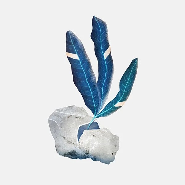 Little Worlds view 5